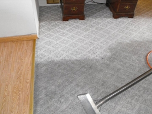 carpet cleaning help